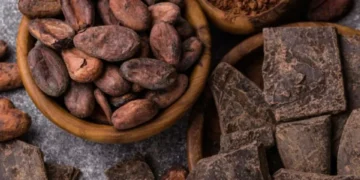 Cacao colombiano: el hallazgo científico que podría cambiar el sabor del chocolate