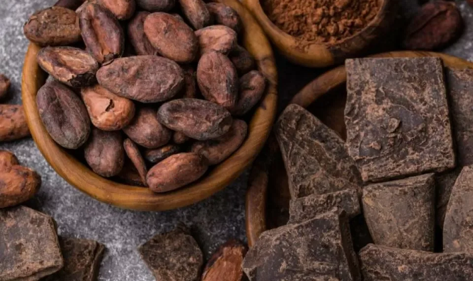 Cacao colombiano: el hallazgo científico que podría cambiar el sabor del chocolate
