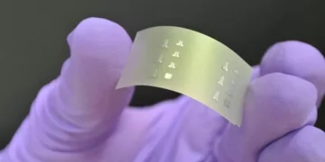 Reitores e investigadores temem que extinção da FCT comprometa produção científica