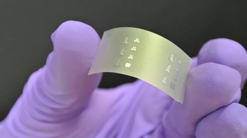 Reitores e investigadores temem que extinção da FCT comprometa produção científica