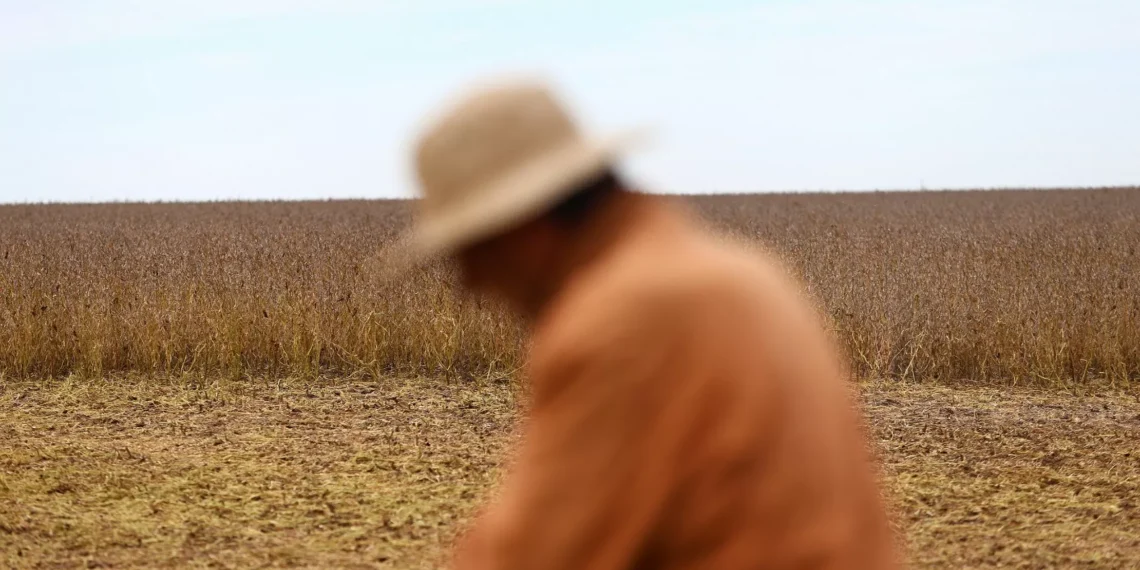 The AgriBiz: Em 72h, exportação de grãos garantiu US$ 7 bi à Argentina – e queixas