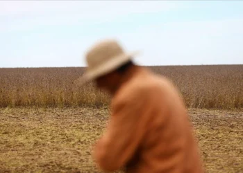 The AgriBiz: Em 72h, exportação de grãos garantiu US$ 7 bi à Argentina – e queixas