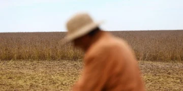 The AgriBiz: Em 72h, exportação de grãos garantiu US$ 7 bi à Argentina – e queixas