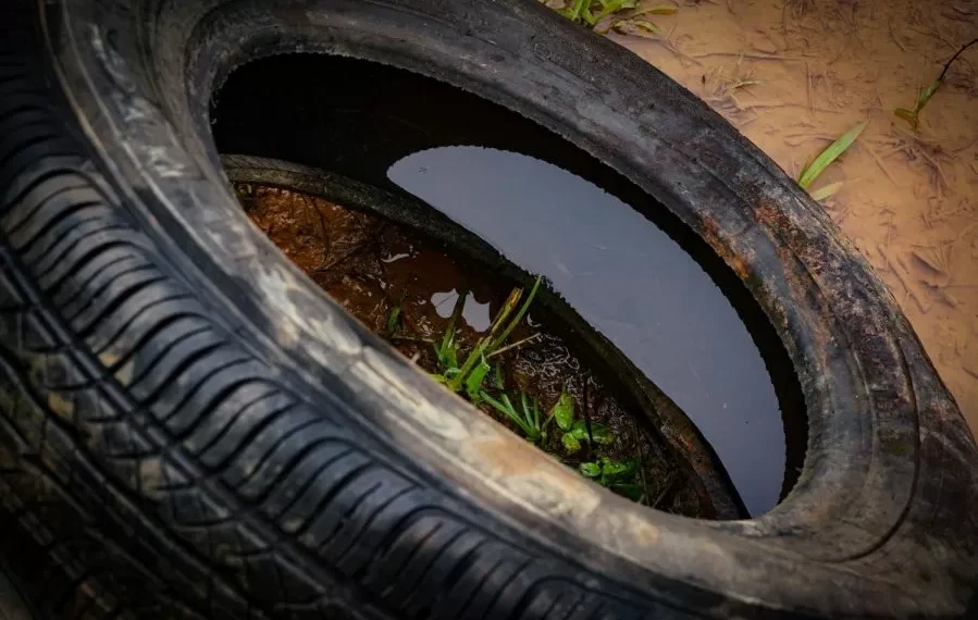 SC abre inscrições para campanha de recolhimento de pneus