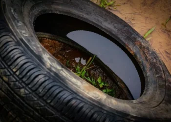 SC abre inscrições para campanha de recolhimento de pneus