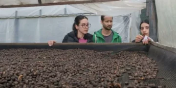 Ciudad colombiana de 6.000 habitantes que tiene de los mejores granos de café del mundo