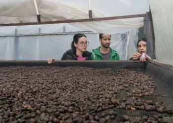 Ciudad colombiana de 6.000 habitantes que tiene de los mejores granos de café del mundo