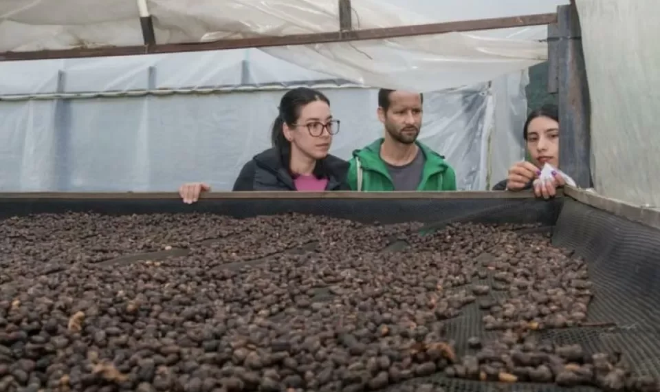 Ciudad colombiana de 6.000 habitantes que tiene de los mejores granos de café del mundo