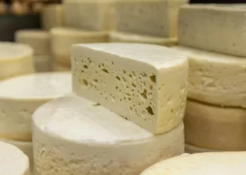 Los 8 pueblos colombianos donde se producen los mejores quesos nacionales, según la IA