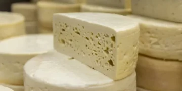 Los 8 pueblos colombianos donde se producen los mejores quesos nacionales, según la IA