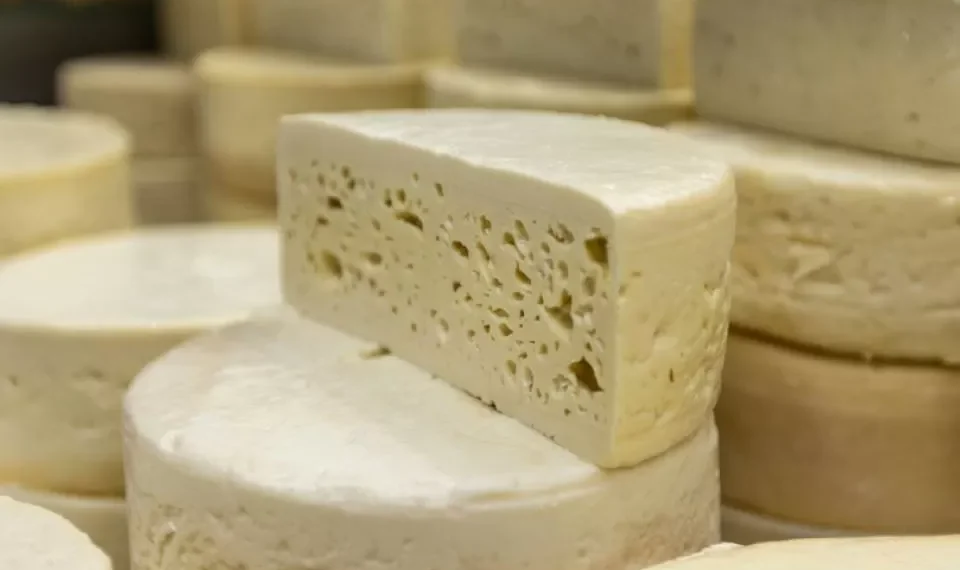 Los 8 pueblos colombianos donde se producen los mejores quesos nacionales, según la IA