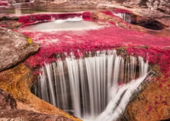 El sitio de Colombia con un río de colores (no existe en ninguna otra parte del mundo)