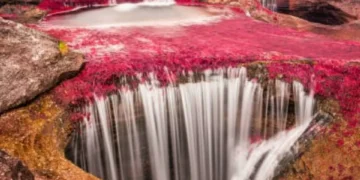 El sitio de Colombia con un río de colores (no existe en ninguna otra parte del mundo)