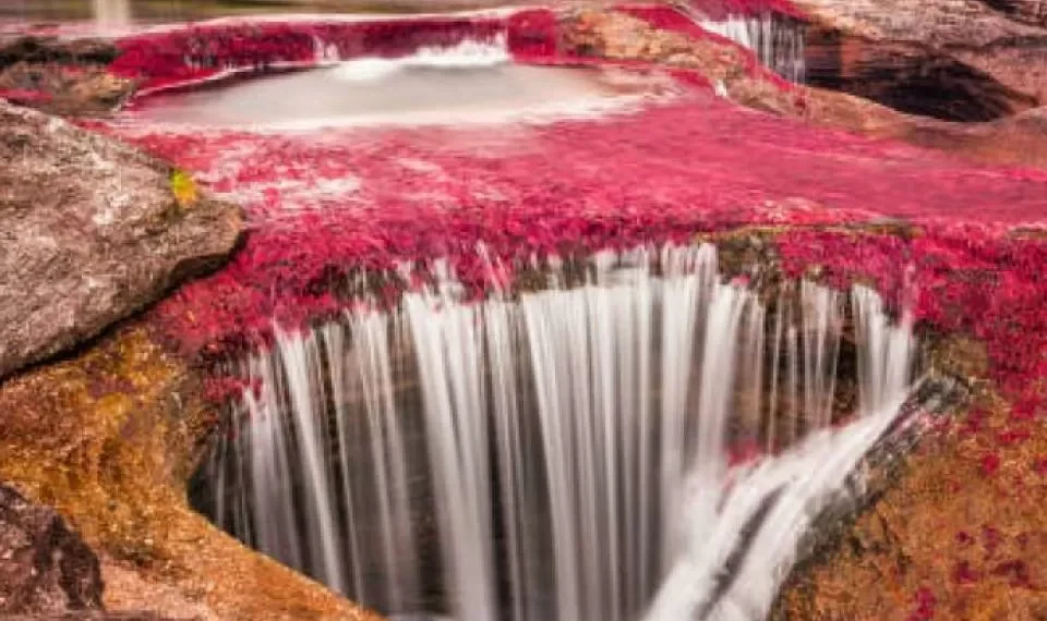 El sitio de Colombia con un río de colores (no existe en ninguna otra parte del mundo)