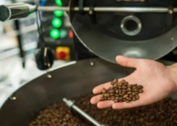 La IA eligió el café más delicioso de Colombia y que debería probar, ¿está de acuerdo?
