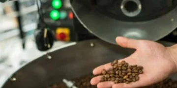 La IA eligió el café más delicioso de Colombia y que debería probar, ¿está de acuerdo?
