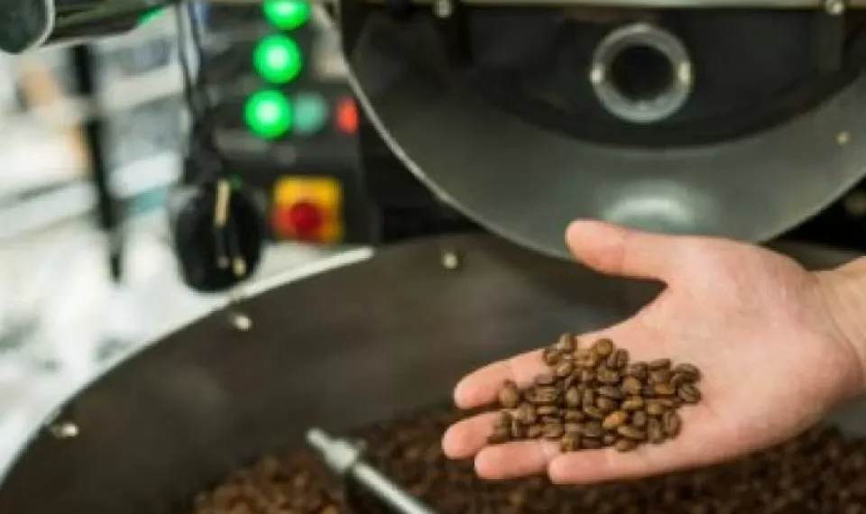 La IA eligió el café más delicioso de Colombia y que debería probar, ¿está de acuerdo?