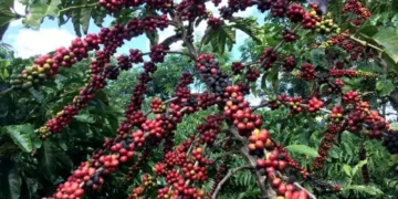 Alta da inflação medida pelo IGP-DI acelera menos que o esperado em setembro