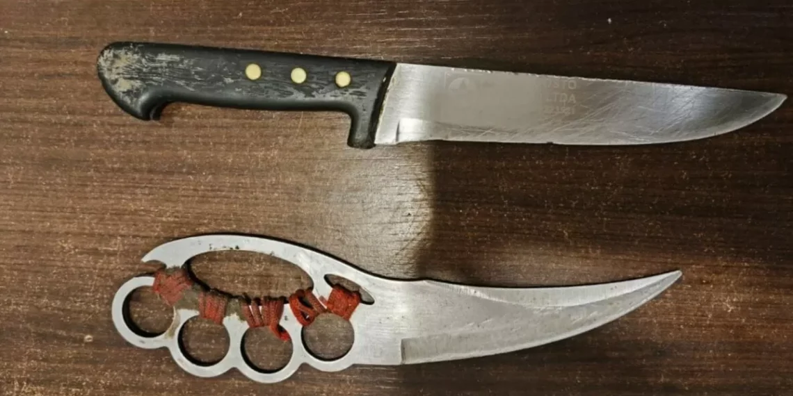 Homem armado com facas causa confusão em shopping de SC