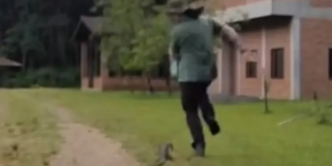 Vídeo de biólogo perseguido por lagarto em Jaraguá do Sul viraliza nas redes sociais