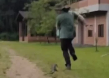 Vídeo de biólogo perseguido por lagarto em Jaraguá do Sul viraliza nas redes sociais