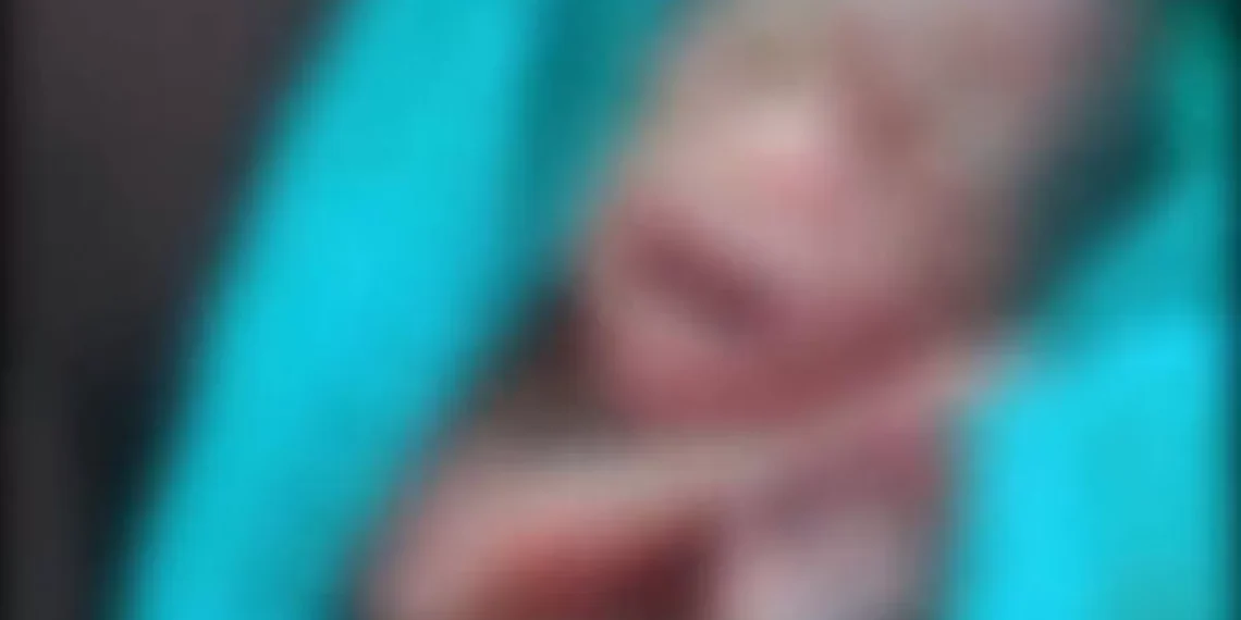 Bebê declarado morto em maternidade morre um dia após ser encontrado com vida