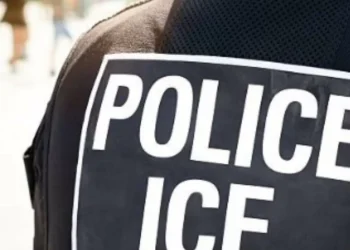 Expertos denuncian tácticas agresivas de ICE durante arrestos