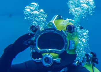 Expedição científica identificou 20 novas espécies para o Recife do Algarve