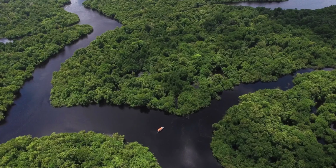 Área desmatada na Amazônia é a menor em 11 anos, diz INPE