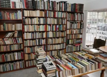 Recomendados Portafolio: ¡Auxilio! tengo un jefe