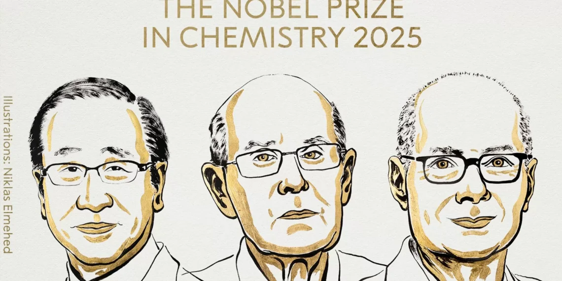 Nobel da Química entregue a três cientistas por desenvolvimento de estruturas orgânicas metálicas