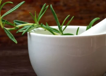 Estos son los seis beneficios de hervir romero y usarlo en su hogar