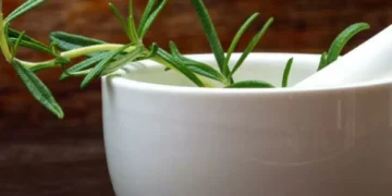 Estos son los seis beneficios de hervir romero y usarlo en su hogar