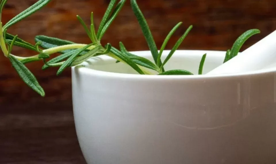 Estos son los seis beneficios de hervir romero y usarlo en su hogar