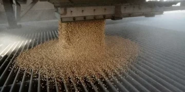 Governo brasileiro confirma que China suspendeu 5 unidades exportadoras de soja