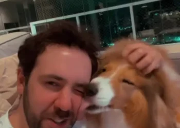 Cachorrinha “pede desculpas” com beijo e vídeo emocionante conquista as redes