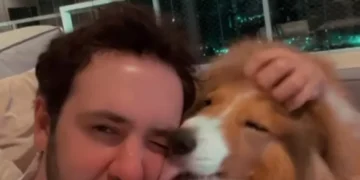 Cachorrinha “pede desculpas” com beijo e vídeo emocionante conquista as redes