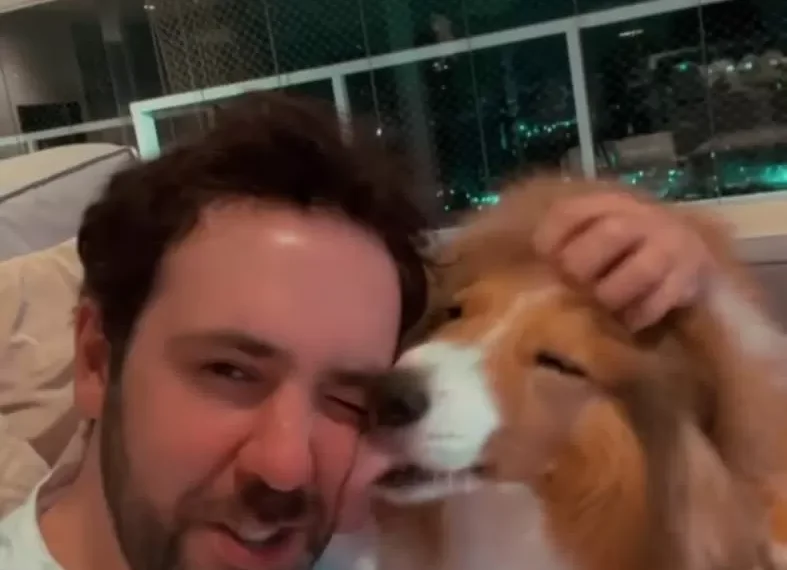 Cachorrinha “pede desculpas” com beijo e vídeo emocionante conquista as redes