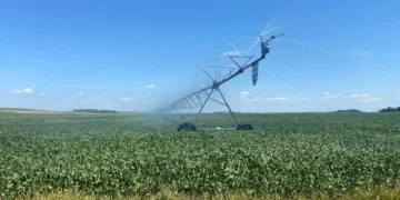 China compra soja dos EUA após promessa a Trump, mas a preço alto, dizem traders