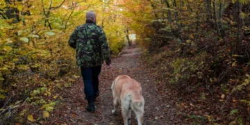 Humanos e cães já exploravam cavernas juntos há 14.400 anos, revela estudo