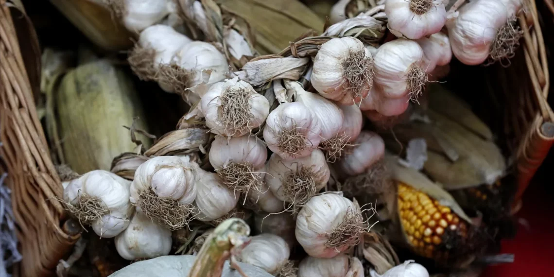 Do coração ao sistema imunitário. Quais são os benefícios e contraindicações do alho na saúde?