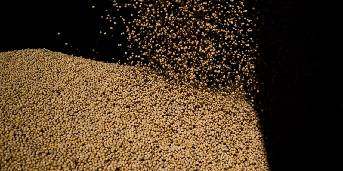 Safra de soja do Brasil saltaria 61,5% com avanço em parte das pastagens, diz estudo