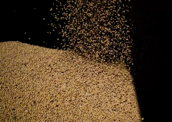 Safra de soja do Brasil saltaria 61,5% com avanço em parte das pastagens, diz estudo