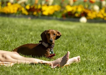 Portugal registou o segundo mês de outubro mais quente em quase 100 anos