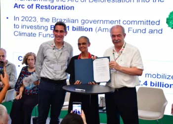 BNDES libera R$ 250 mi para recuperar 19 mil hectares de Amazônia e Mata Atlântica