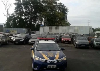 PRF anuncia leilão com mais de 650 veículos retidos em rodovias federais de SC