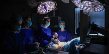 Um “Big Brother” pode ajudar a eficiência dos hospitais? Na Irlanda, acreditam que sim