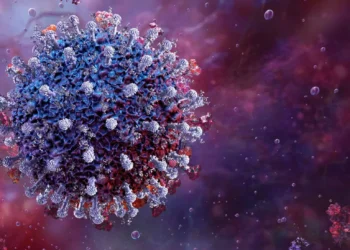 Coronavírus: tipo inédito na América do Sul surge em morcegos brasileiros