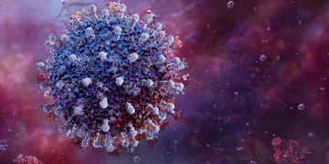 Coronavírus: tipo inédito na América do Sul surge em morcegos brasileiros