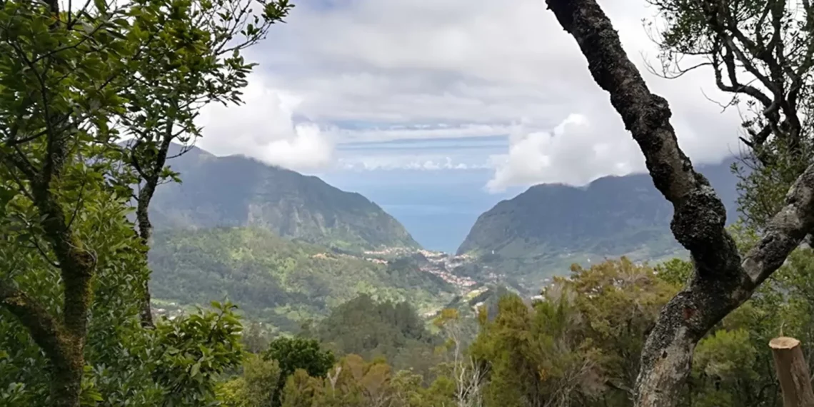 COP30: ONU lança plano de arrefecimento sustentável que pode reduzir emissões em 64%